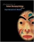 Fundamentals of Human Neuropsychology