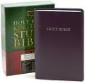 The King James Study Bible