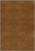 NKJV Study Bible