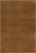 NKJV Study Bible