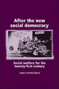 After the New Social Democracy: Social Welfare for the 21st Century