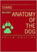 Miller's Anatomy of the Dog