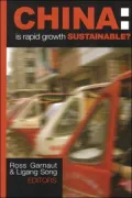 China: is Rapid Growth Sustainable?
