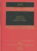 Modern Family Law, Third Edition