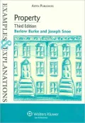 Property (Examples and Explanations Series)