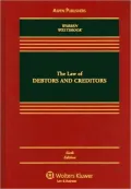 The Law of Debtors and Creditors: Text, Cases, and Problems, Sixth Edition