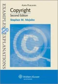 Intellectual Property: Examples and Explanations, Second Edition