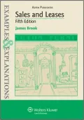 Sales and Leases: Examples & Explanations, Fifth Edition