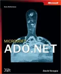 Microsoft Ado.Net Core Reference
