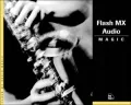 Flash MX Audio Magic (Magic (New Riders))