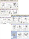 Strength Training Anatomy Poster Series