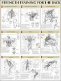 Back Poster (Strength Training Anatomy)