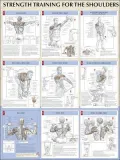 Shoulders Poster (Strength Training Anatomy)