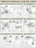 Chest Poster