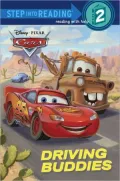 Driving Buddies