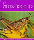 Grasshoppers