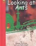 Looking at Ants
