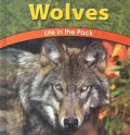 Wolves: Life in the Pack