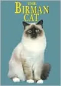 Birman Cat