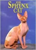 Sphynx Cat