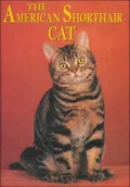 The American Shorthair Cat (Learning about Cats Series)