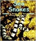 Sea Snakes (Ocean Life Series)