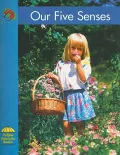 Our Five Senses