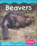 Wetland Animals: Beavers