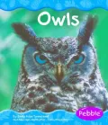 Woodland Animals: Owls