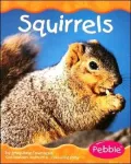 Woodland Animals: Squirrels