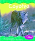 Grassland Animals: Coyotes