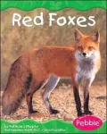 Grassland Animals: Red Foxes