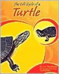 The Life Cycle of a Turtle
