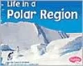 Life in a Polar Region