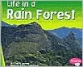 Life in a Rain Forest