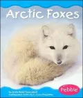 Polar Animals: Arctic Foxes