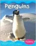 Polar Animals: Penguins