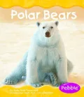 Polar Animals: Polar Bears