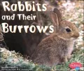 Rabbits and Their Burrows (Animal Homes Series)