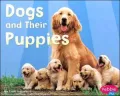 Dogs and Their Puppies (Animal Offspring Series)