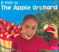The Apple Orchard