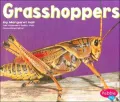 Grasshoppers (Bugs, Bugs, Bugs! Series)