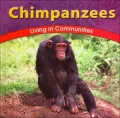 Chimpanzees: Living in Communities