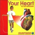 Your Heart