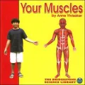 Your Muscles
