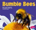Bumble Bees