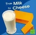 From Milk To Cheese