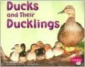 Ducks and Their Ducklings