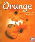 Orange: Seeing Orange All Around Us