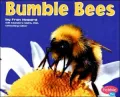 Bumble Bees